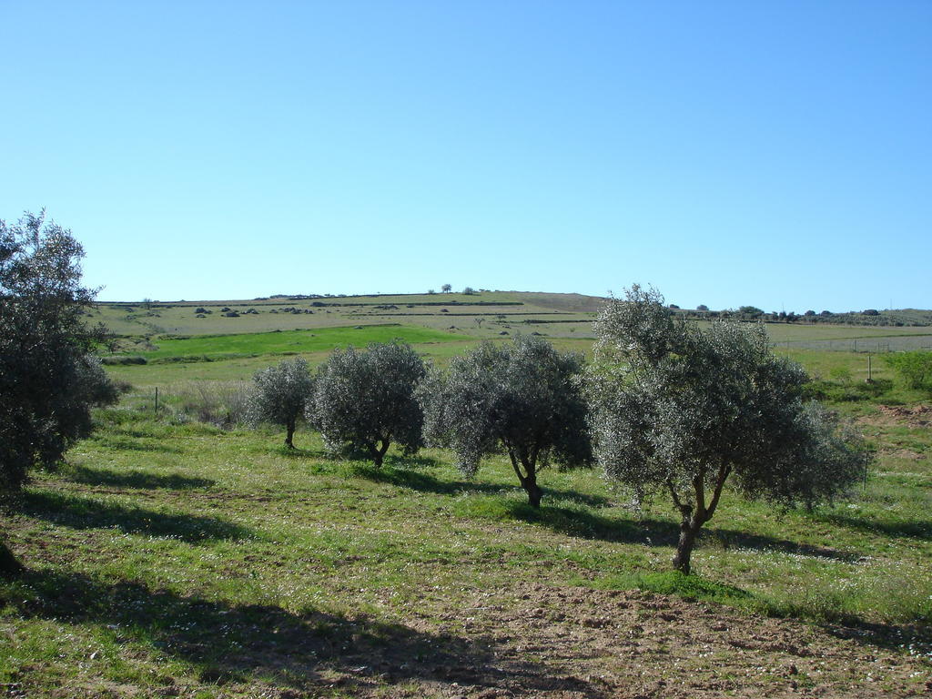 Horta Do Muro Campo Maior Eksteriør bilde